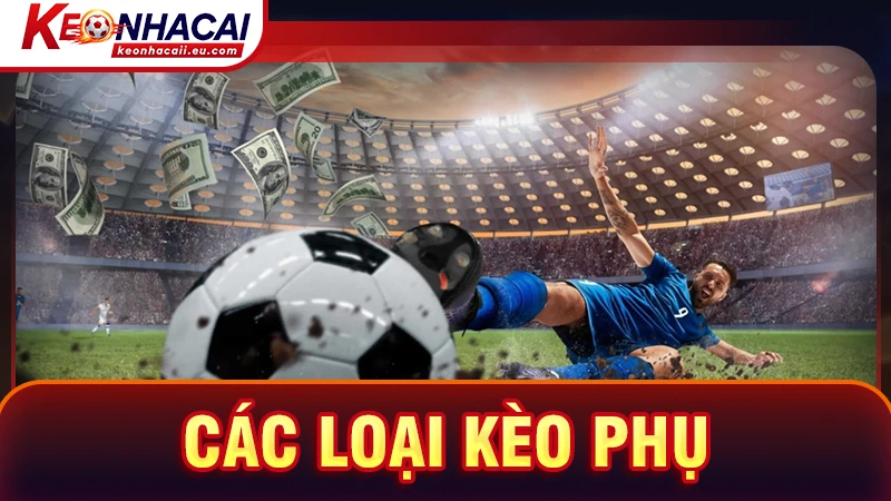 Các loại kèo phụ cũng được cung cấp đầy đủ tại honthomparadiseisland.info